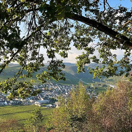In Mit Privatem Garten